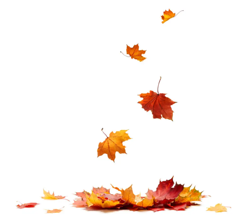 Ontmoetingsavond voor mensen met verlieservaring